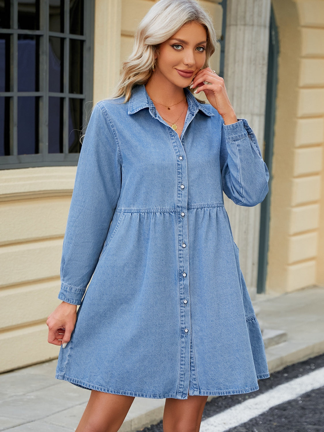 Vineyard Days Denim Dress