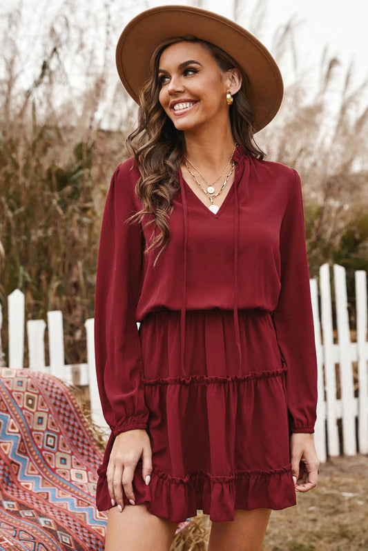 Burgundy Babe Dress