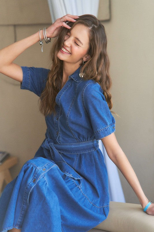 Grove Hill Denim Dress