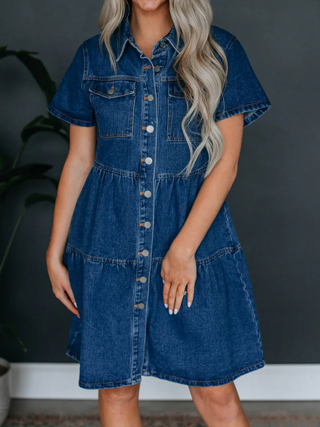 Desiree Denim Dress