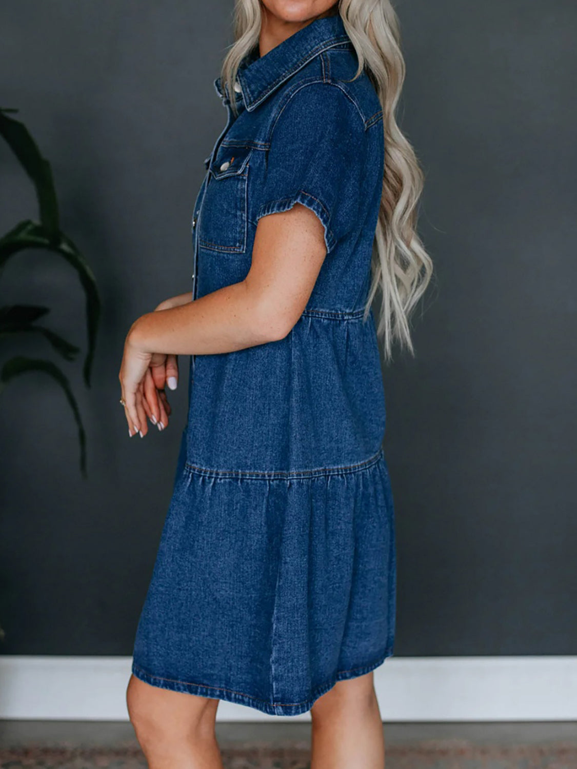 Desiree Denim Dress