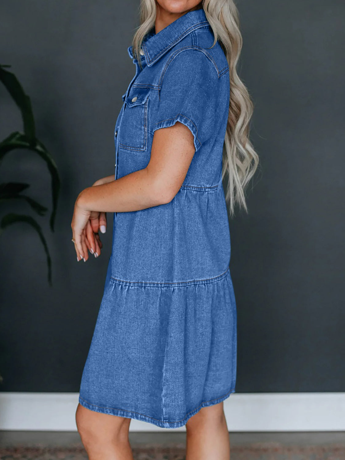 Desiree Denim Dress